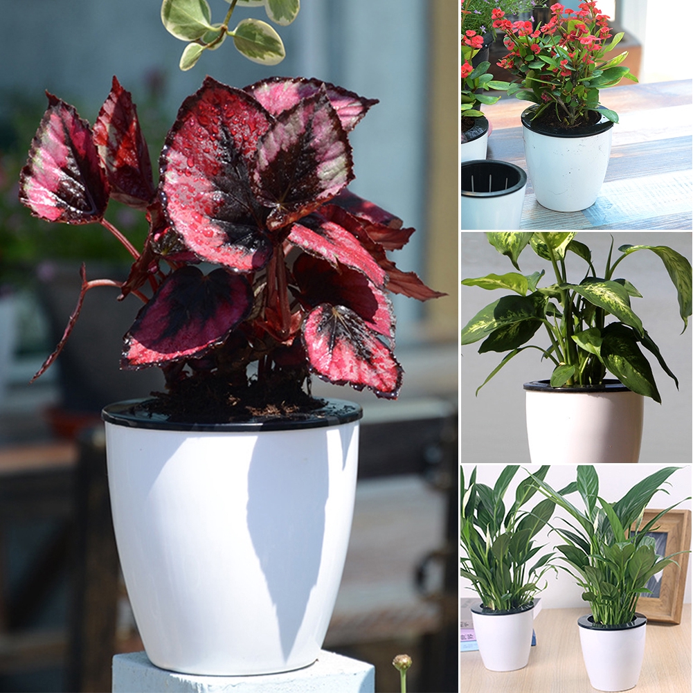 Creative Self Watering Plant Flower Pot Plastic Planter Home