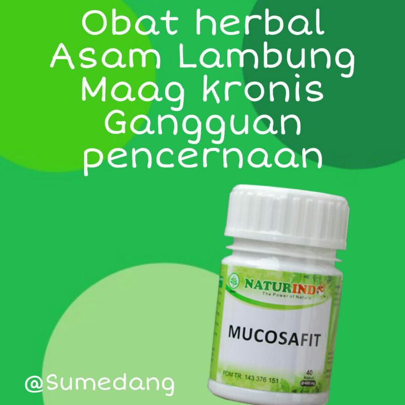MUCOSAFIT obat herbal asam lambung kronis ampuh mengobati maag maagh gerd anxiety nyeri perut melapisi dinding lambung mual muntah sakit perut kiri kembung begah sendawa dan pencernan isi 40 kapsul-8