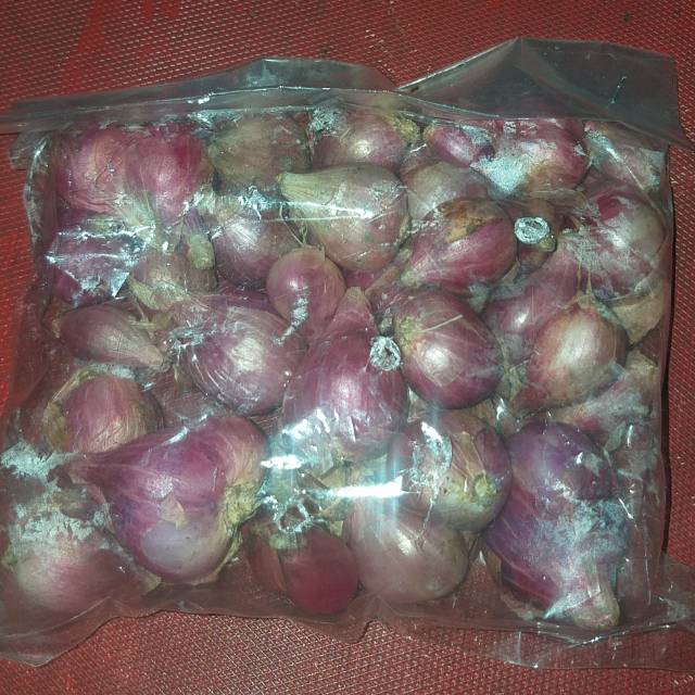 

Bawang merah