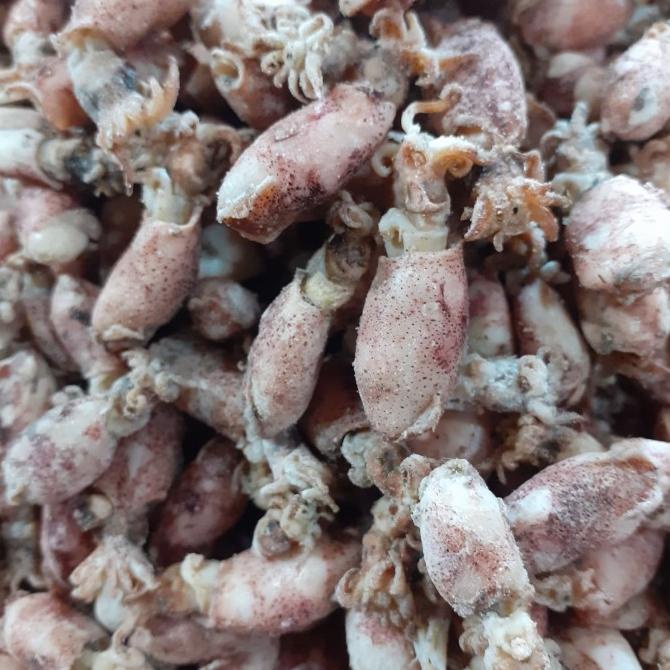 

Baby Cumi Asin Premium 250 Gram