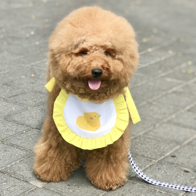 dog baby bib / bib bayi anjing / celemek anjing ( DUCK )