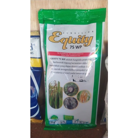 EQUITY 75WP - 100gr