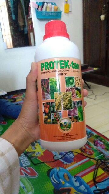 Protektan