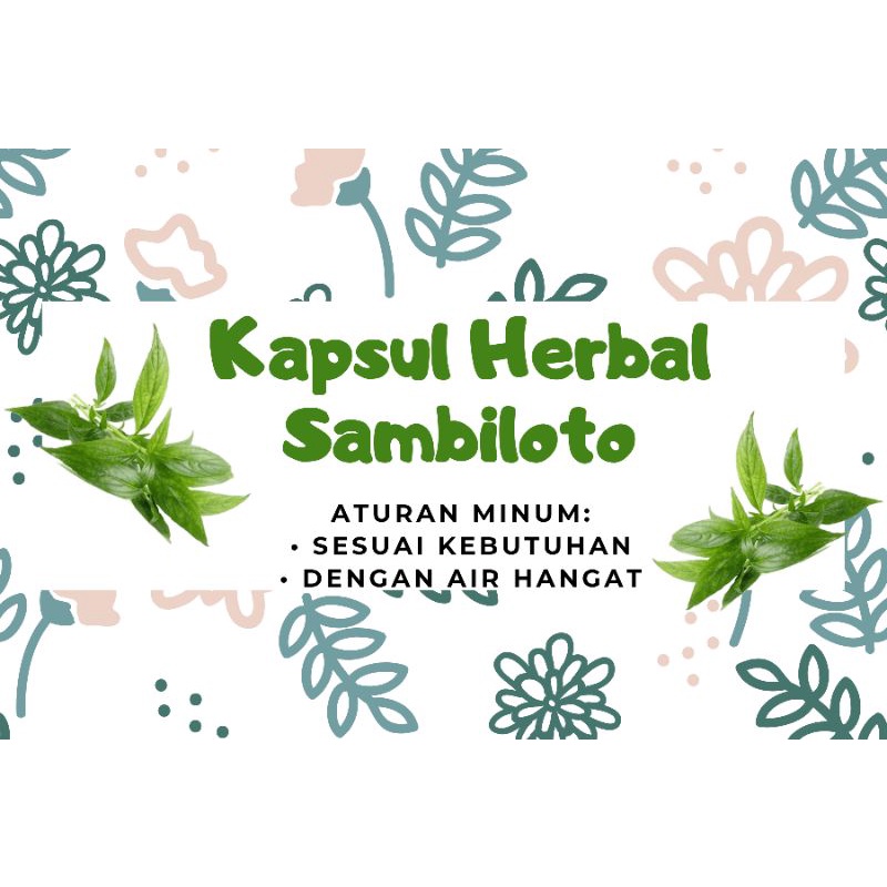 Obat herbal Sambiloto Anti Covid