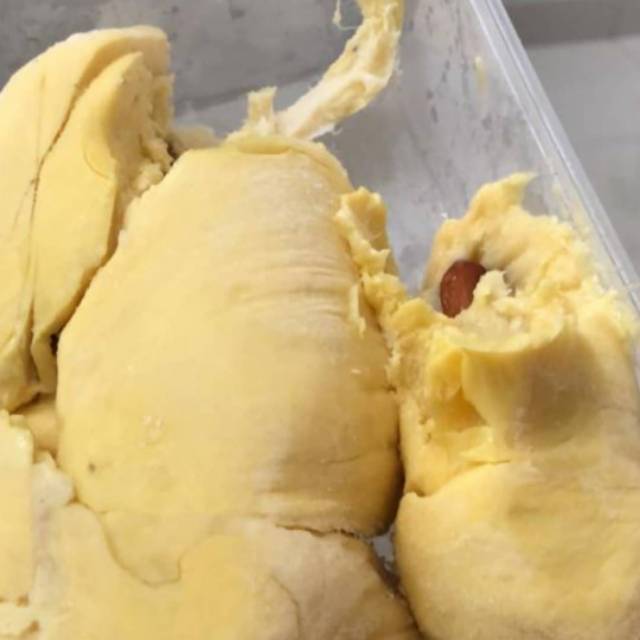

Durian Montong Palu