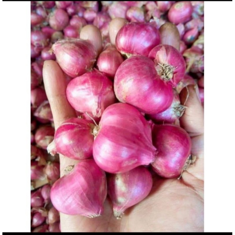 

bawang merah kering 1kg //bawang merah super