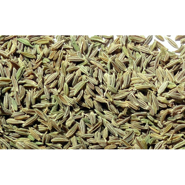 

ADAS JAWA/ADAS IJO KERING 50 GRAM - Foeniculum Vulgare - MURNI -