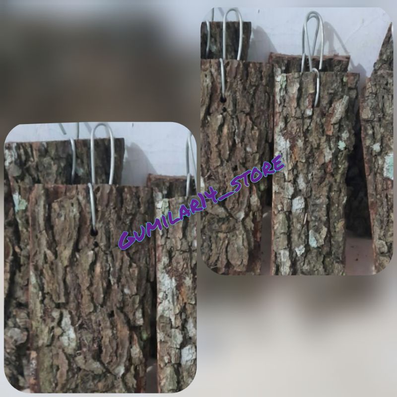 Media Anggrek Kayu Pinus + Papan kayu (17x10) Dijamin kuat dan tahan lama.