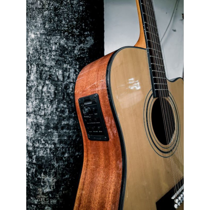 Gitar Deviser 12 String Original
