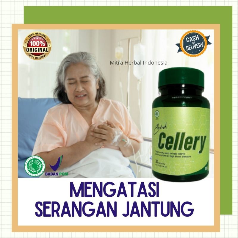 

E-CELLERY Obat Herbal Hipertensi Penurun Tekanan Darah Tinggi Ampuh - obat hipertensi struk asli her
