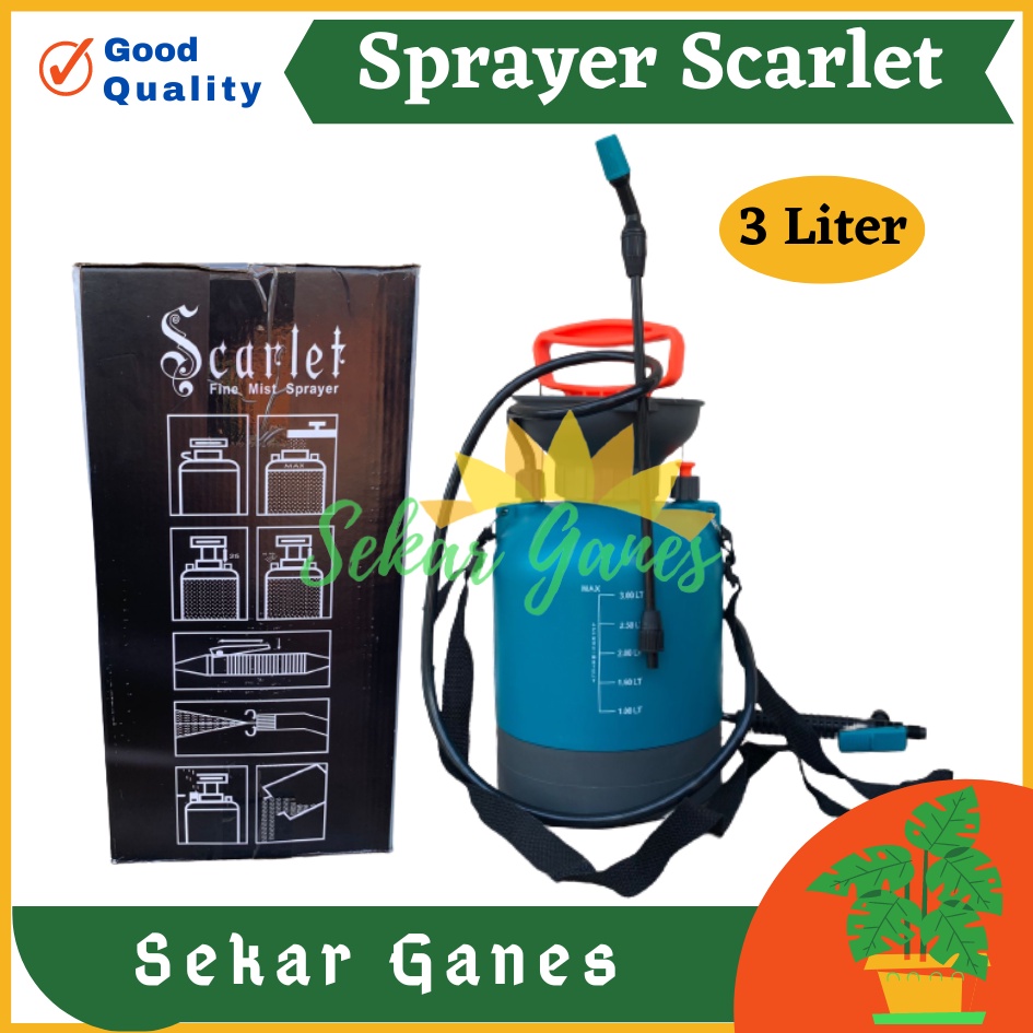 TANGKI SPRAYER SCARLET 3 LITER ALAT SEMPROT PRESSURE Semprot Pertanian Tanaman Rumput Air Hama - Alat Semprot Desinfektan Hama Air Semprotan 5 liter Sprayer 5liter 5L Alat Semprot Desinfektan Hama Air 5 l litre Disinfectant Spray Termurah Bahan Bagus