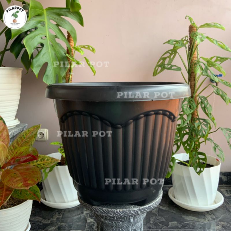 pot bunga tanaman shallom Mio 50 hitam - JUMBO MIO 50 HITAM
