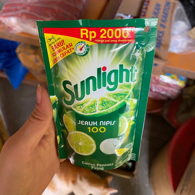 SUNLIGHT 2000