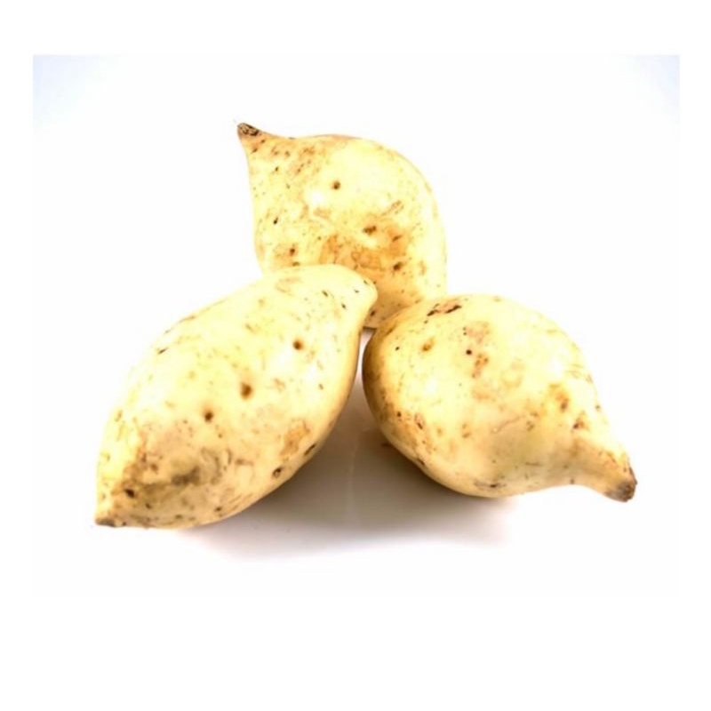 

Ubi Putih Segar 500 gram