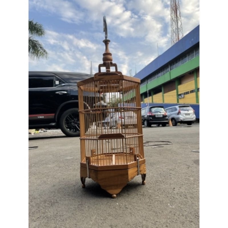 SANGKAR KANDANG PLECI KAYU PERNIS SEGI 8