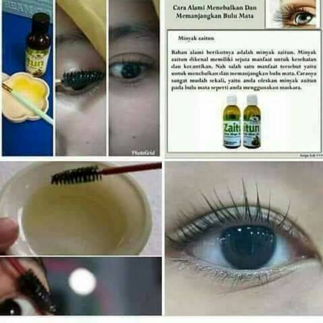 Minyak Zaitun Hpai 60ml Shopee Indonesia