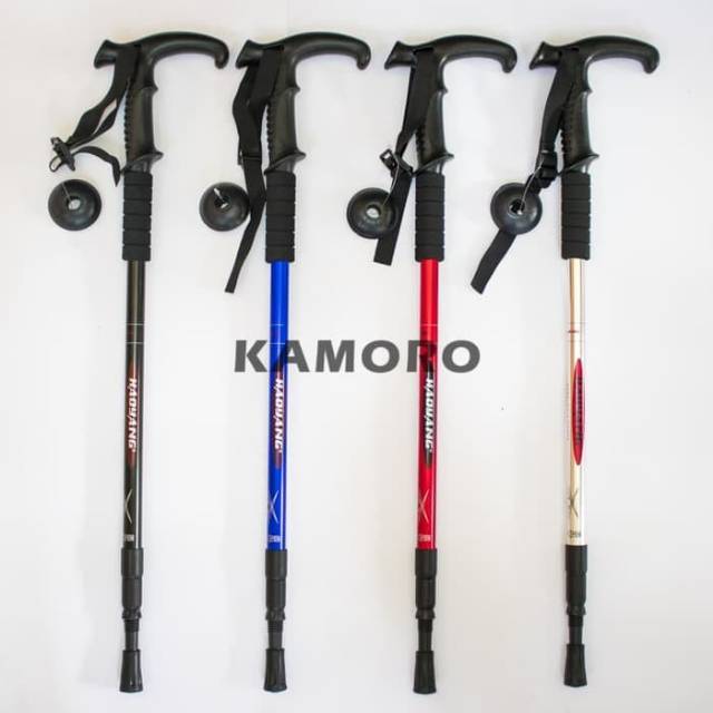 best place to buy trekking poles
