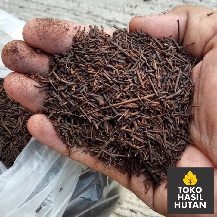 Media Tanam Bunga Anggrek 500gr / Pakis Cacah Penyubur Tanaman | Toko Hasil Hutan