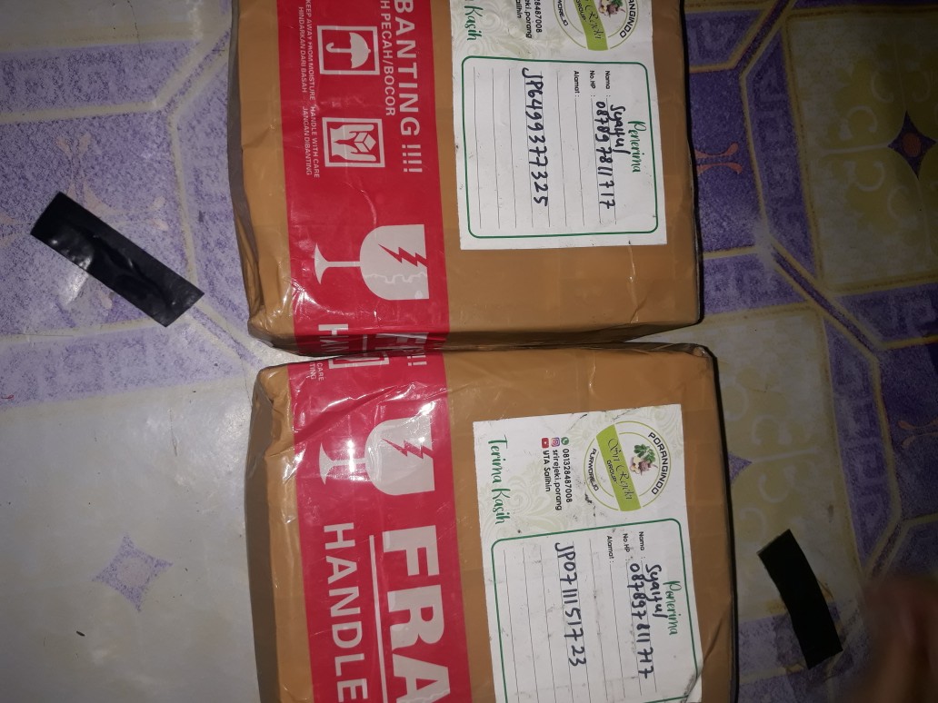 Bibit Porang Dorman | Katak Super Mini 700/ Biji