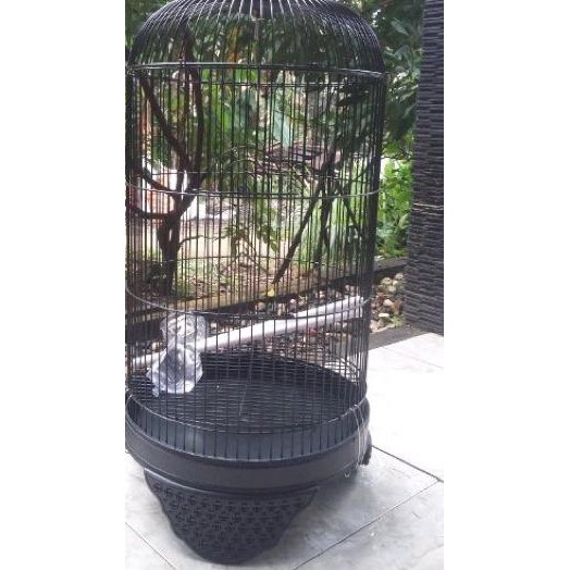 ❃ SANGKAR LOVEBIRD PANDA /CC - KANDANG BURUNG LOVEBIRD PANDA - sangkar kenari - kandang kapsul ✦