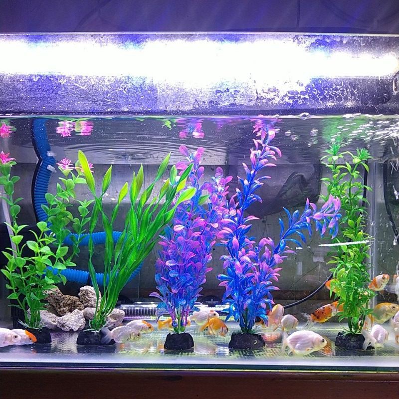 tanaman plastik aquarium tanaman hias aquarium bunga plastik aquarium