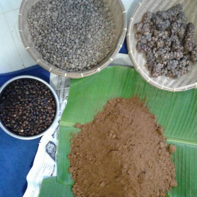 

KOPI LUWAK ASLI 100% DARI JEMBER