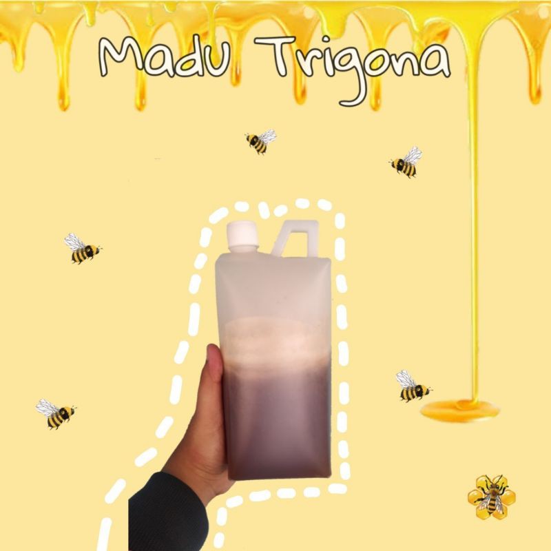 

Madu Trigona klanceng, lanceng, kelulut, teuweul, Kele 1kg Asli dan Murni