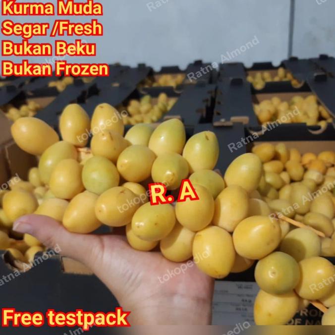 

PROMO Kurma muda segar/fresh bukan beku 500g/KURMA 1KG/KURMA BARARI/KURMA RUTHOB/KURMA BAM/KURMA PALM FRUIT/KURMA TANGKAI/KURMA AZWA/KURMA SUKKARI/KURMA SAFAWI/KURMA TUNISIA/KURMA MUDA KUNING/KURMA MUDA HIJAU/KURMA MEDJOL/KURMA MADINAH SUPER