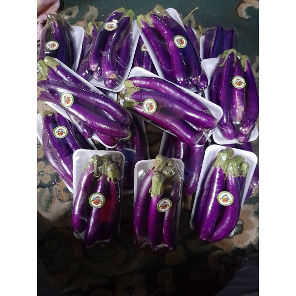 

Terong ungu 250 gram