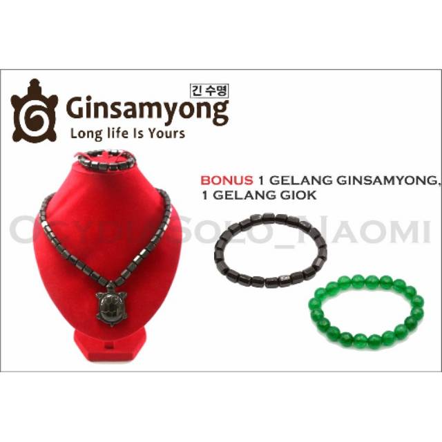 GINSAMYONG