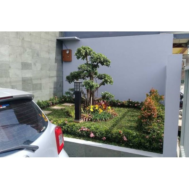 Jual desain taman / tukang taman / jasa pembuatan taman | Shopee Indonesia