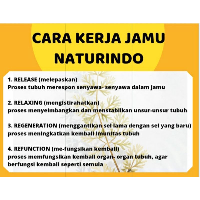 Obat Herbal Radang Paru-Paru  Obat Asma Obat Brongkitis  Obat Sesak Nafas Herbal BRON C VIT BPOM-1