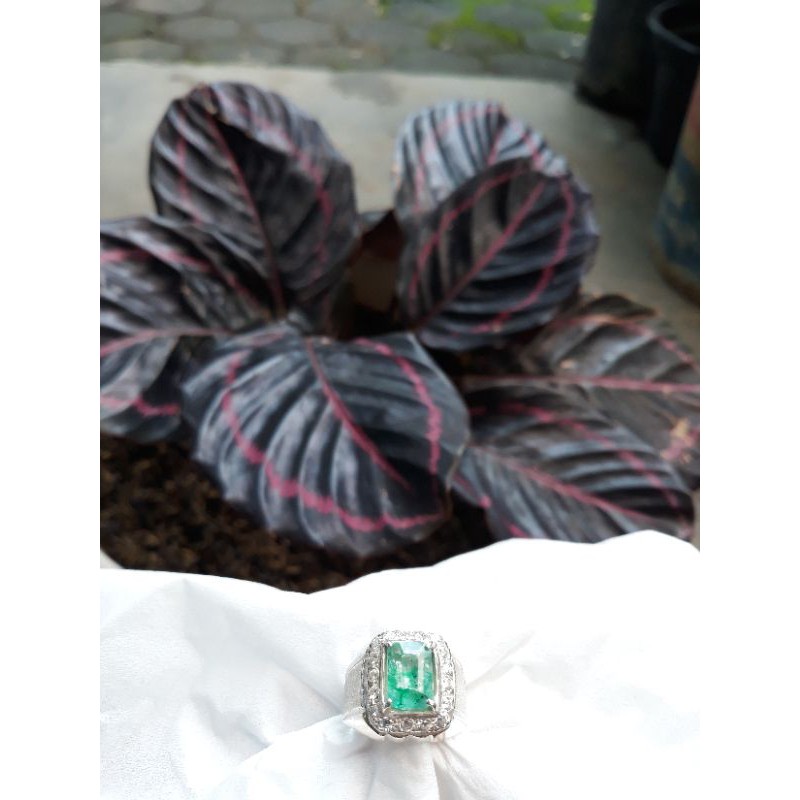 Natural Zamrud Colombia Octagon