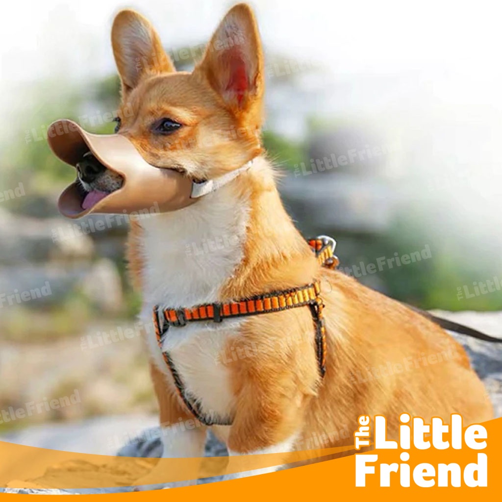 Muzzle Brangus Brongsong Penutup Mulut Anjing Anti Gigit DUCK MOUTH Bahan Soft Silikon