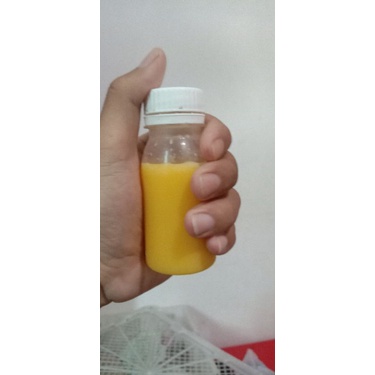 NEXTAR WAYKAMBAS (konin)