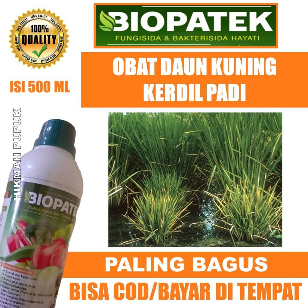 (PUPUK ORGANIK PADI) BIOPATEK Isi 500 ML Pupuk ORGANIK Cair Atasi Kerdil Rumput Hampa Padi, Pupuk Pa