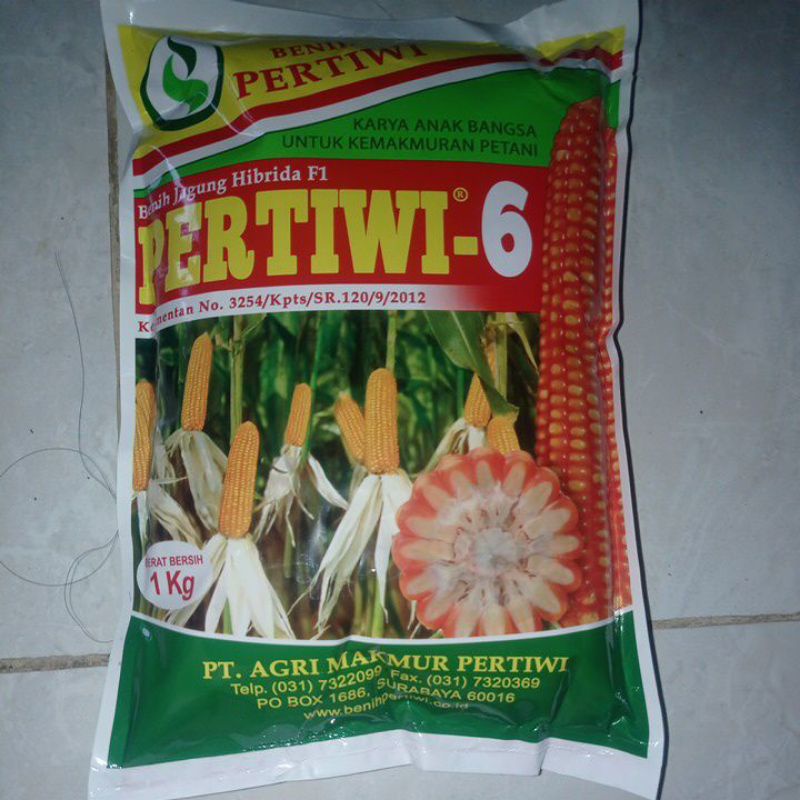 pertiwi 6