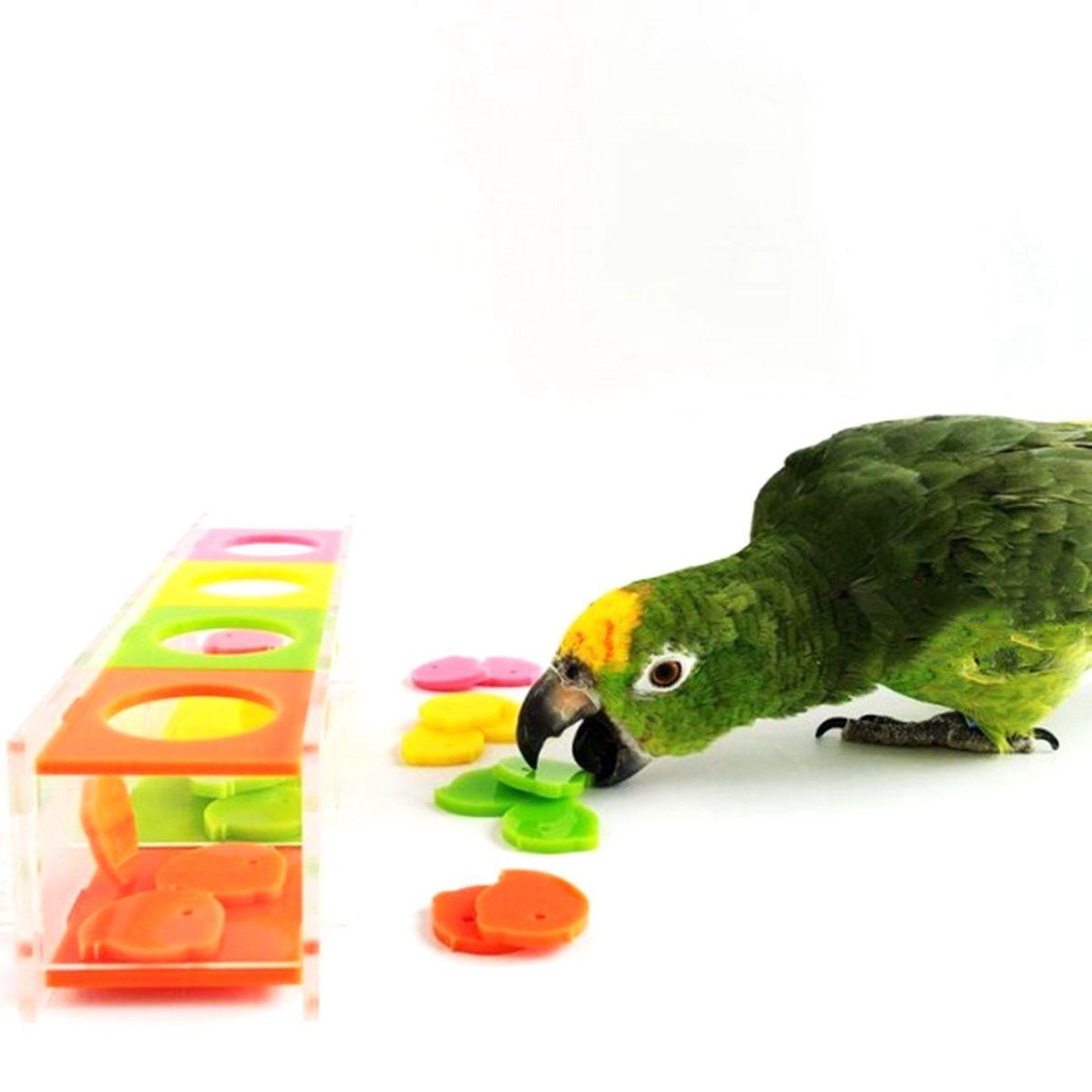 [Elegan] Mainan Burung Cockatiel Finch Training Parkit Edukasi Puzzle Nuri Interaktif