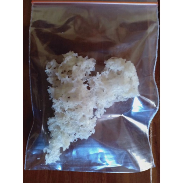 

Sarang Walet Hancuran 3 Gram / 100% Asli