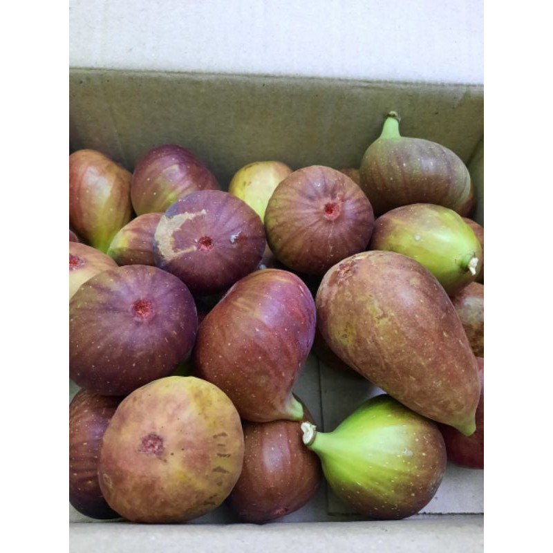 

buah tin Ara |fig| 500gr segar