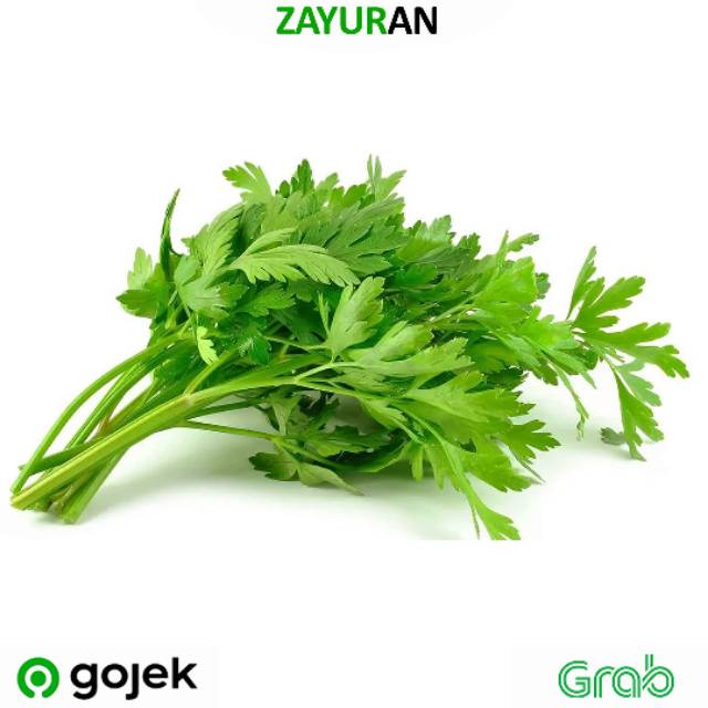 

Seledri | Zayuran