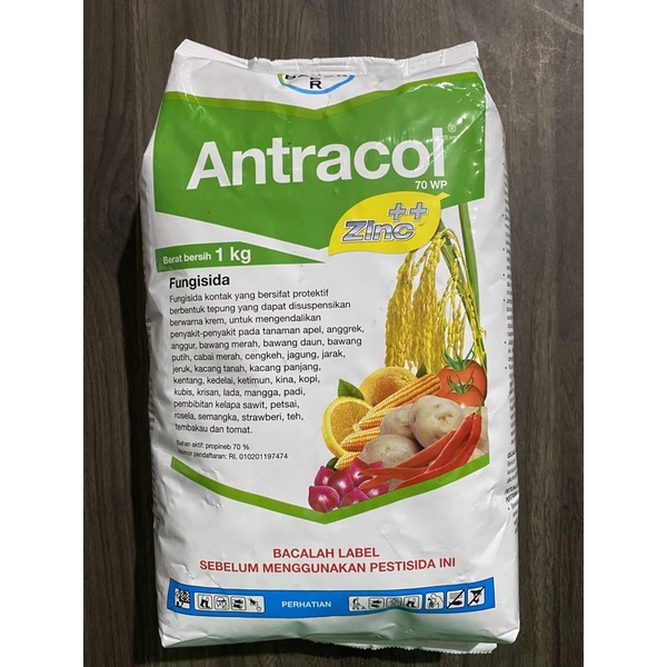 fungisida antracol 70 wp 1kg original