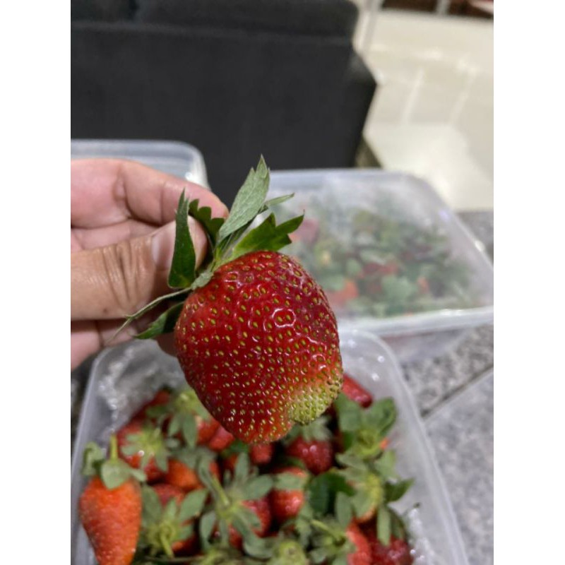 

stawberry fresh