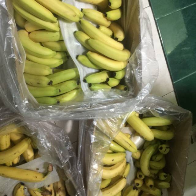 

Pisang Sunpride karton/Pisang Sunpride murah/pisang murah