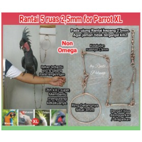 PAKET RING KAKI OMEGA DAN RANTAI MACAW BNG HINGGA MACAW HYACHINT - MERAH~< READYSTOCKKK >~