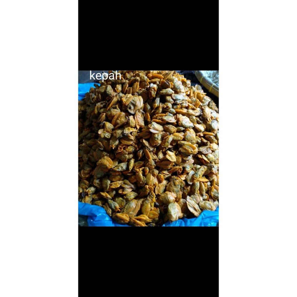 

kepah