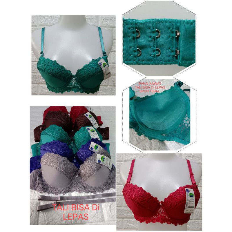 BH Hak 2 (Hearl 313 / 211 ) CUP A (kecil)Spon Pakai KAWAT SiZe 34-40 BRA Dewasa Remaja Half Cup A (kecil)