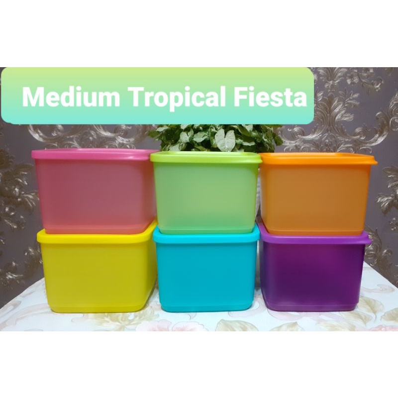 Medium Tropical fiesta (1) Tupperware