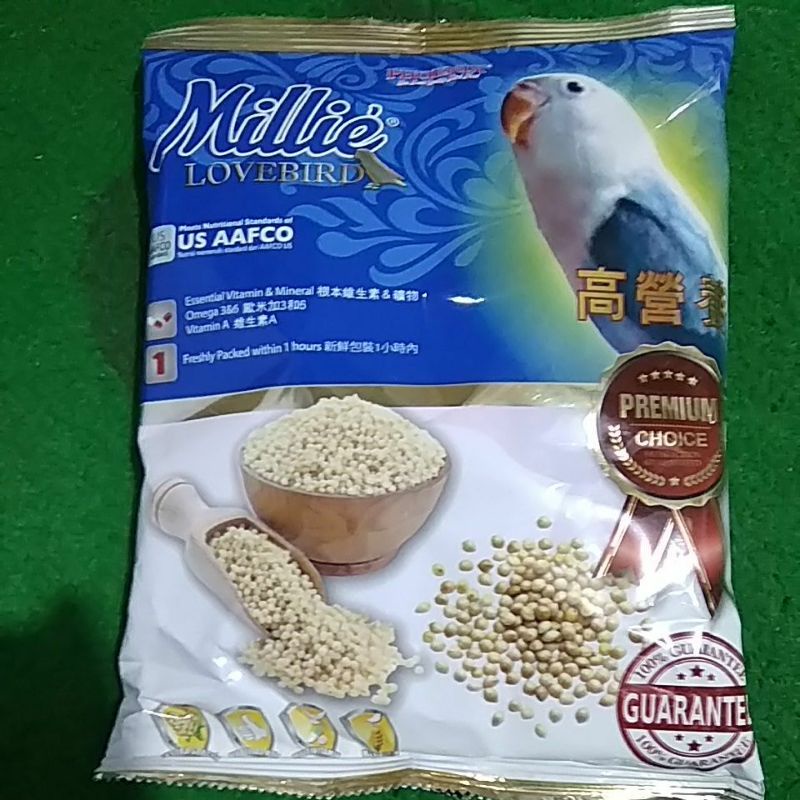 Millie Lovebird. pakan burung Lovebird Lomba