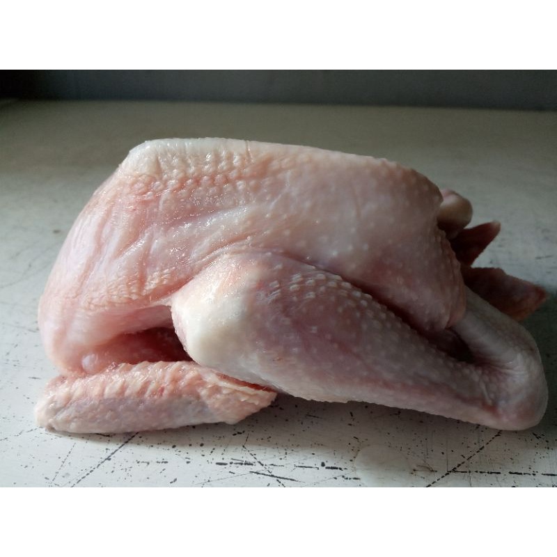 

AYAM KAMPUNG PREMIUM UKURAN 800 GRAM